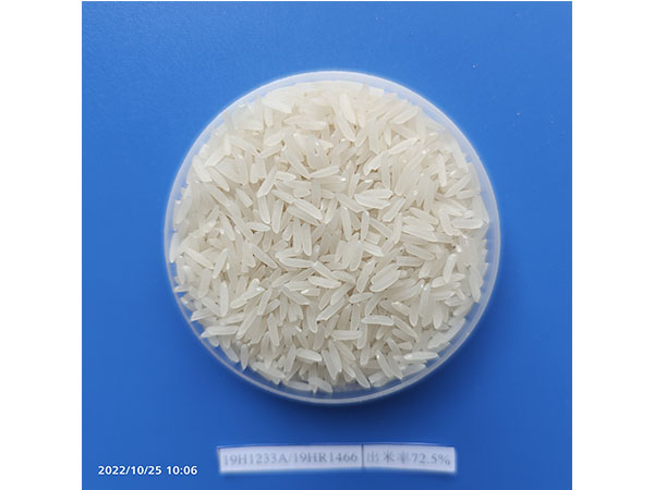 金沙js6038,长沙稻谷种植与销售,长沙农作物品种的选育,长沙农业病虫害防治服务